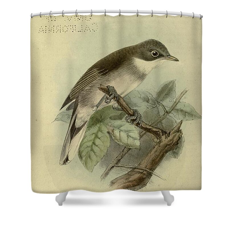 Birds Shower Curtain featuring the mixed media Beautiful Vintage Bird #1197 by World Art Collective