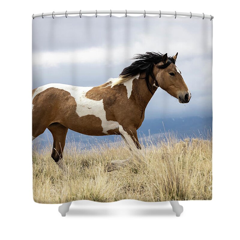 Wild Horses Shower Curtain featuring the photograph Wild Horses #13 by Julie Argyle