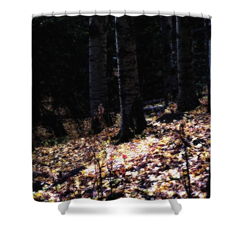 Co Shower Curtain featuring the photograph Colorado fall colors by Doug Wittrock