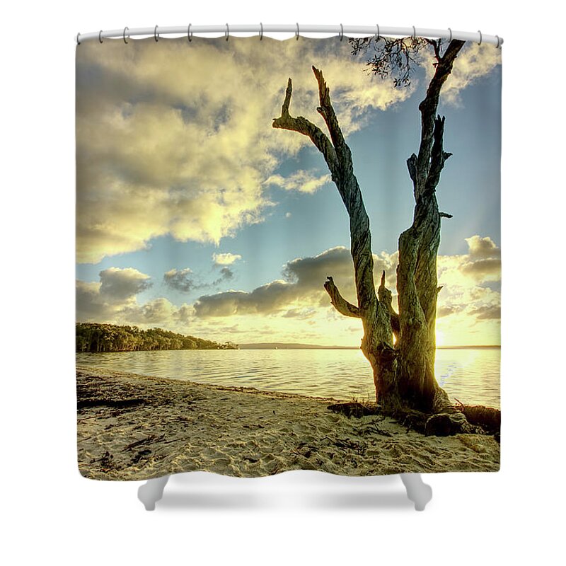 Tree Shower Curtain featuring the photograph 1703rise2 by Nicolas Lombard