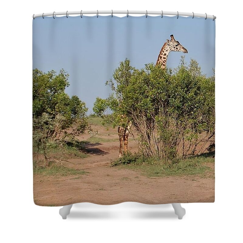  Shower Curtain featuring the photograph 19k by Jay Handler