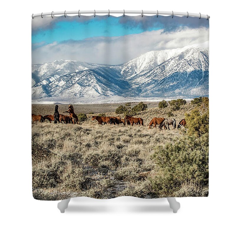 Shower Curtain featuring the photograph 1dx25710 by John T Humphrey