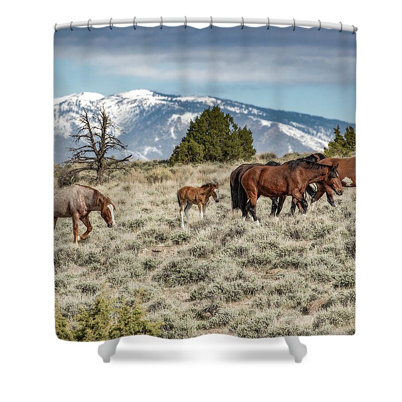  Shower Curtain featuring the photograph 1dx27800 by John T Humphrey