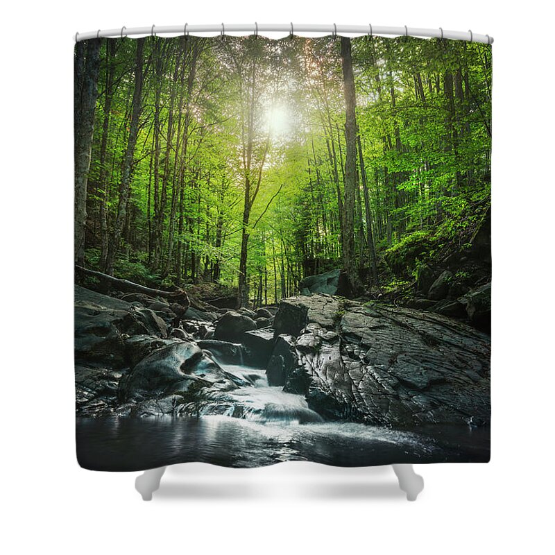 Waterfall Shower Curtain featuring the photograph Stream inside a forest. Abetone, Tuscany by Stefano Orazzini