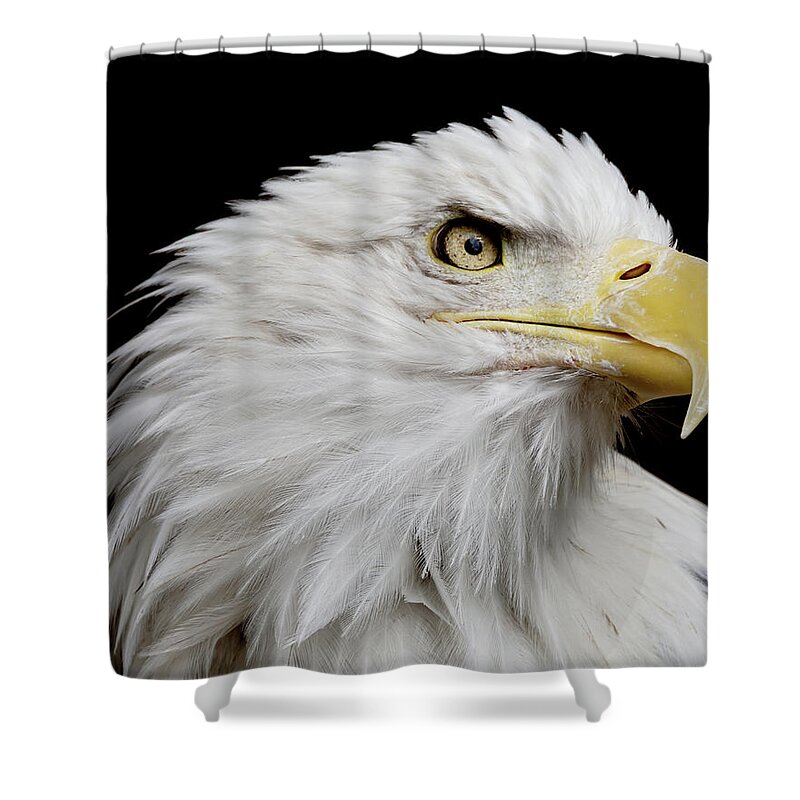 Animal Shower Curtain featuring the photograph American Bald Eagle #2 by Ernest Echols