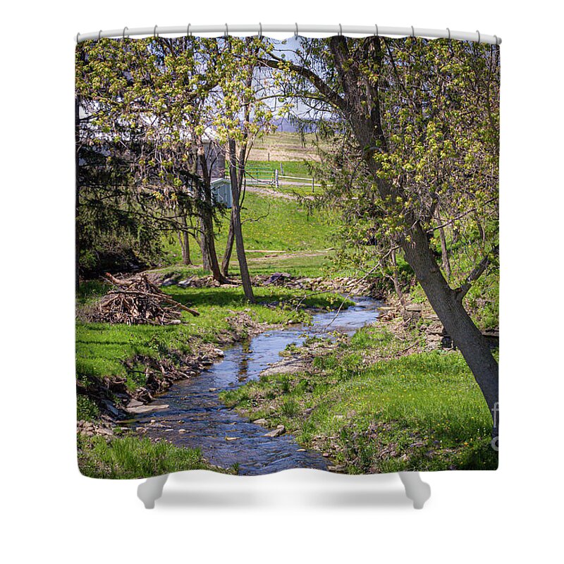 Creek Shower Curtain featuring the photograph Creekside #2 by William Norton