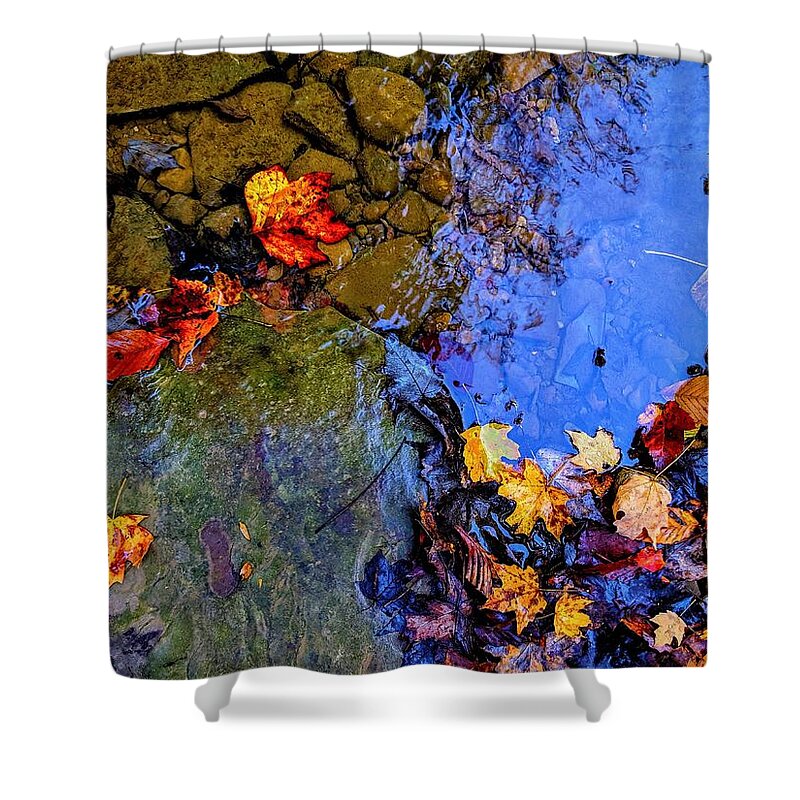  Shower Curtain featuring the photograph Fall Leaves #2 by Brad Nellis