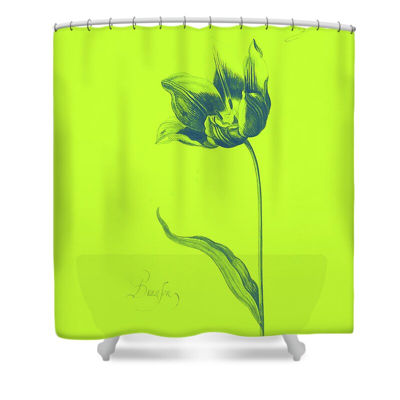 Poster Shower Curtain featuring the painting Great Tulip Book #2 by MotionAge Designs