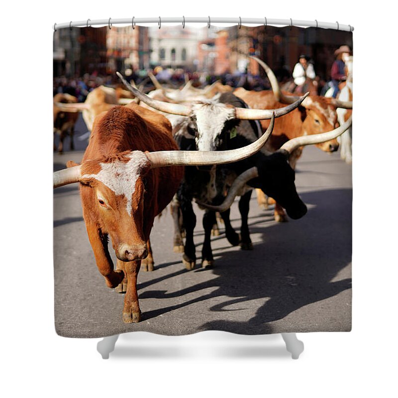 Human Interest Shower Curtain featuring the photograph Longhorn Steer in downtown Denver #2 by Rick Wilking