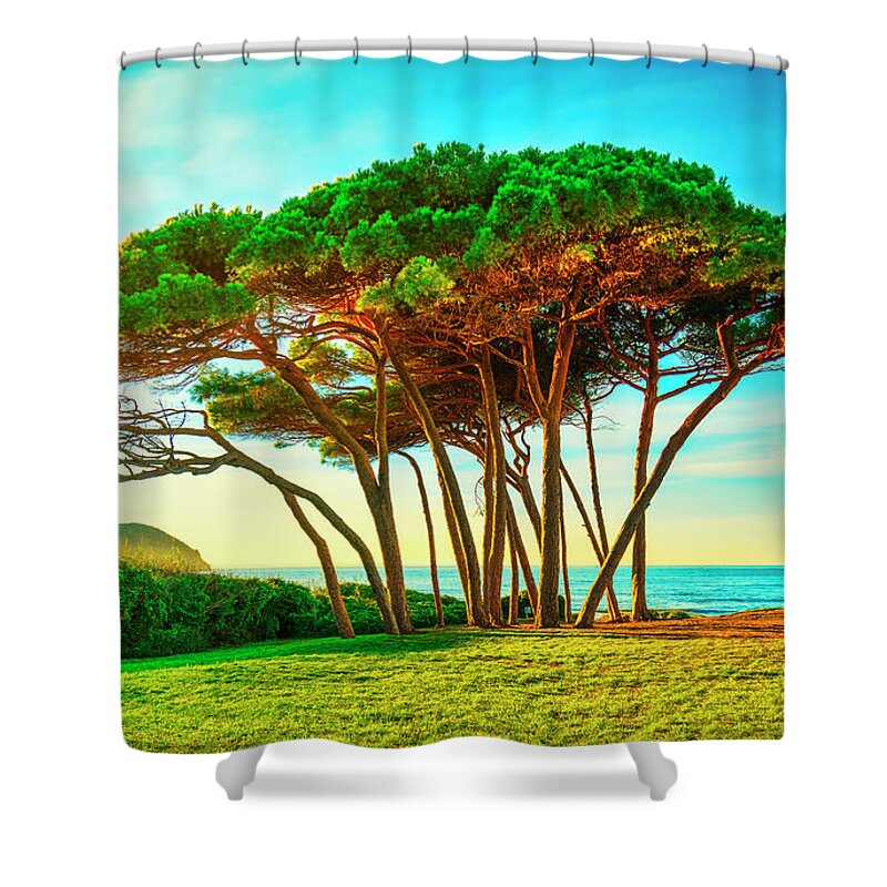 Baratti Shower Curtain featuring the photograph Maritime Pine tree group near sea and beach. Baratti, Tuscany. #2 by Stefano Orazzini