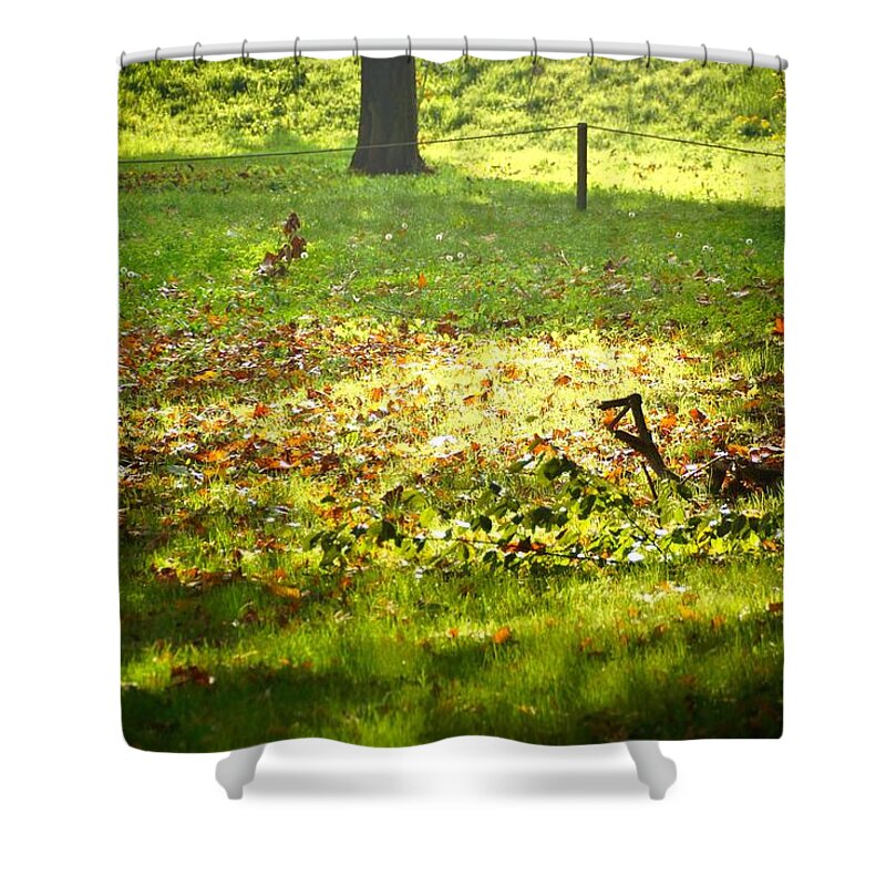 Trees Shower Curtain featuring the photograph Parco Cavour. Ottobre 2016 #4 by Marco Cattaruzzi