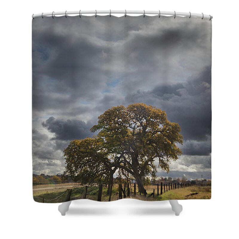  Shower Curtain featuring the photograph San Miguel #2 by Lars Mikkelsen