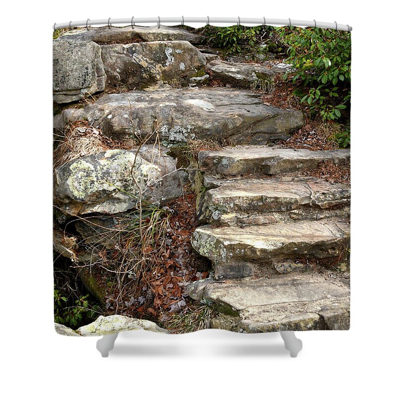 Hike Shower Curtain featuring the photograph Steps Into The Forest by Phil Perkins