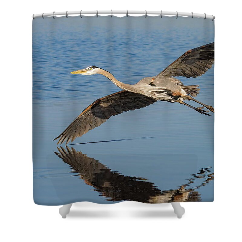 Great Blue Heron Shower Curtain featuring the photograph Testing the Waters #1 by RD Allen