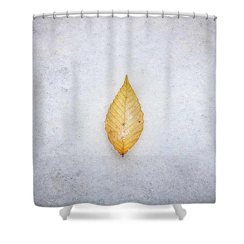 Snow Day Shower Curtain featuring the photograph The Leaf #2 by Jordan Hill