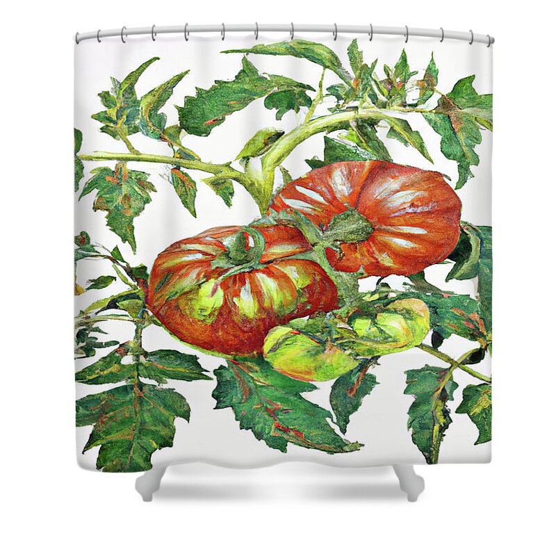Two Red Tomatoes Shower Curtain featuring the digital art 2 Tomatoes 2 B by Cathy Anderson