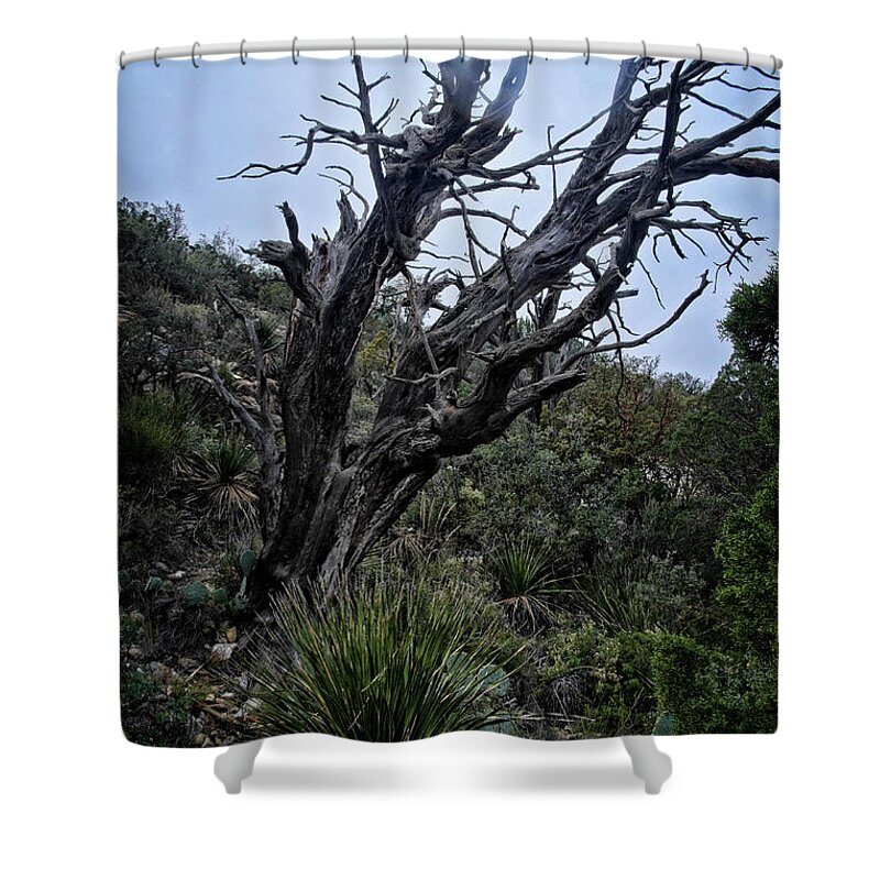 Tree Shower Curtain featuring the photograph Tree and Shrubs at McKittrick #2 by George Taylor