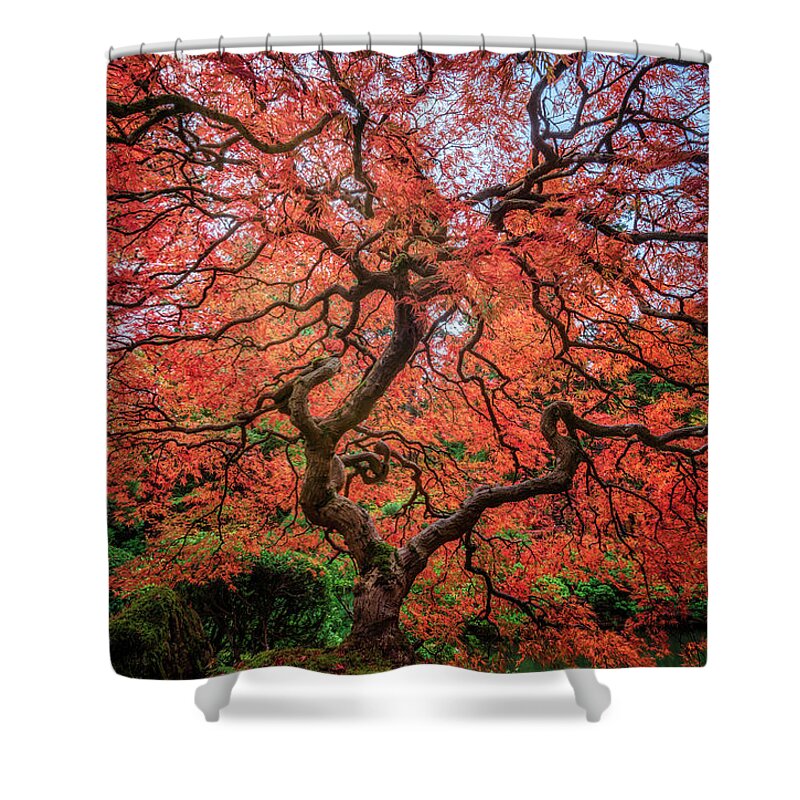 #treeoflifetogether Shower Curtain featuring the photograph Tree of Life #2 by David Soldano