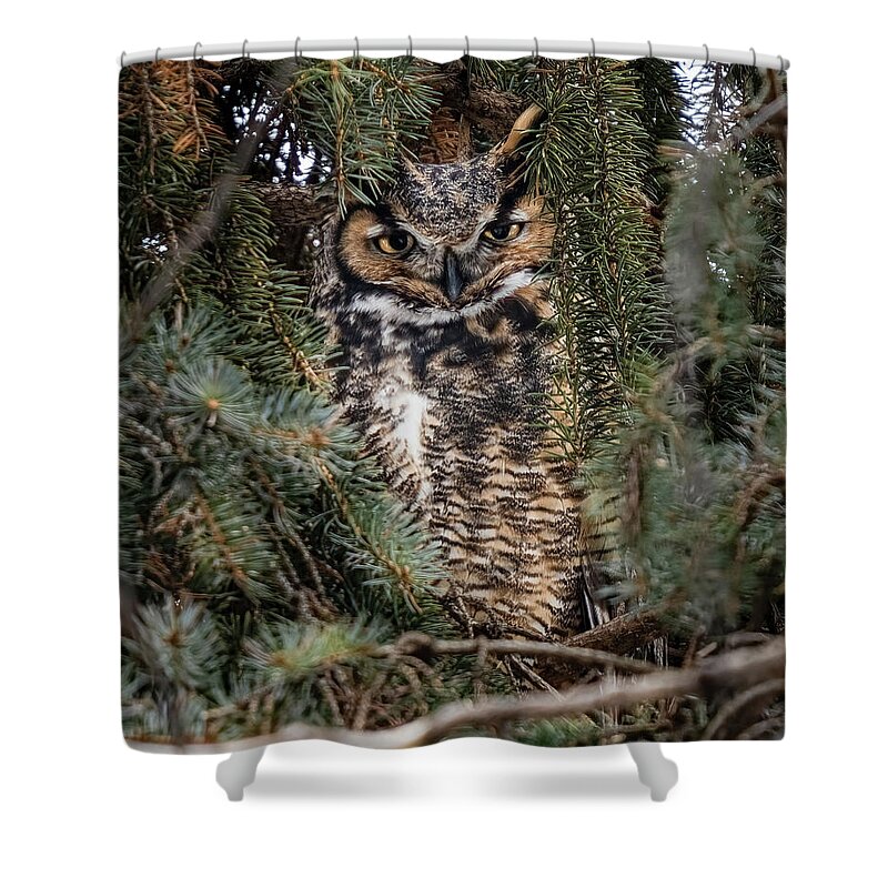 Owl Shower Curtain featuring the photograph Wilson by James Overesch