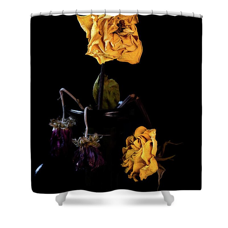 Wither Shower Curtain featuring the photograph Wilted and dry yellow rose flower on a vase on a black background. #2 by Michalakis Ppalis