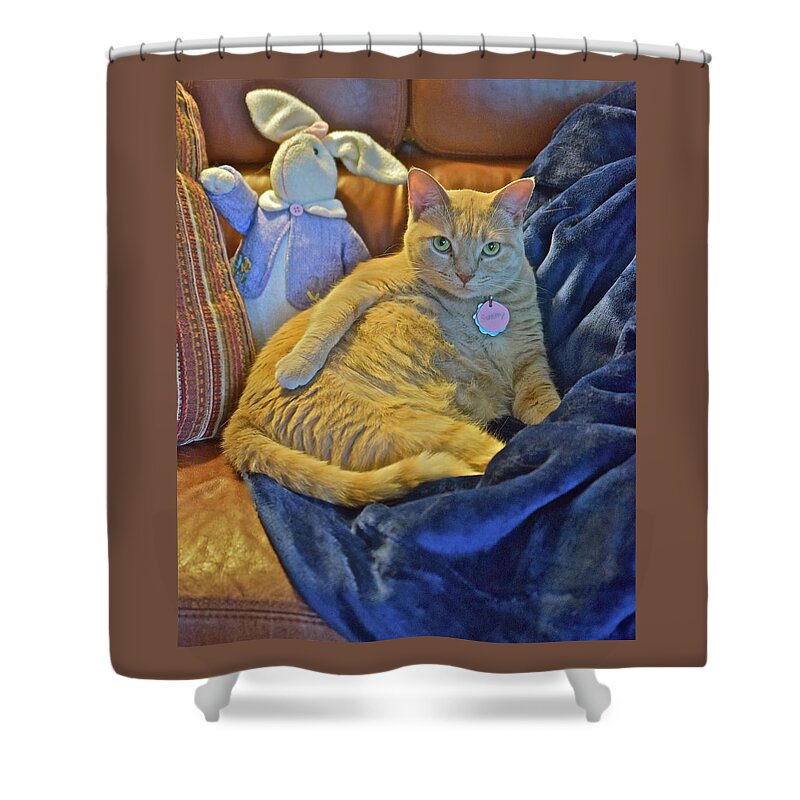 Tabby Cat Shower Curtain featuring the photograph 2020 Interrupted by Janis Senungetuk