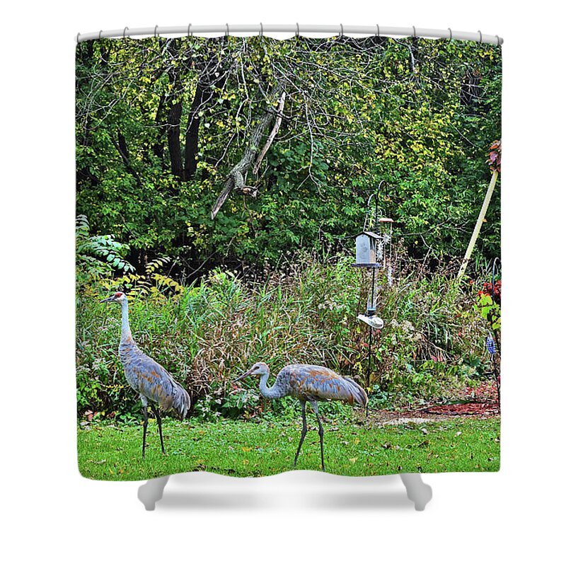Sandhill Cranes Shower Curtain featuring the photograph 2021 Fall Sandhill Cranes 3 by Janis Senungetuk