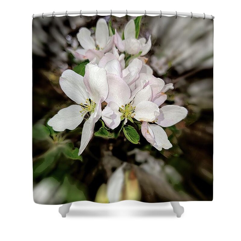 2021 Shower Curtain featuring the photograph 2021 White Apple Blossom Zoom Blur Photograph by Delynn Addams