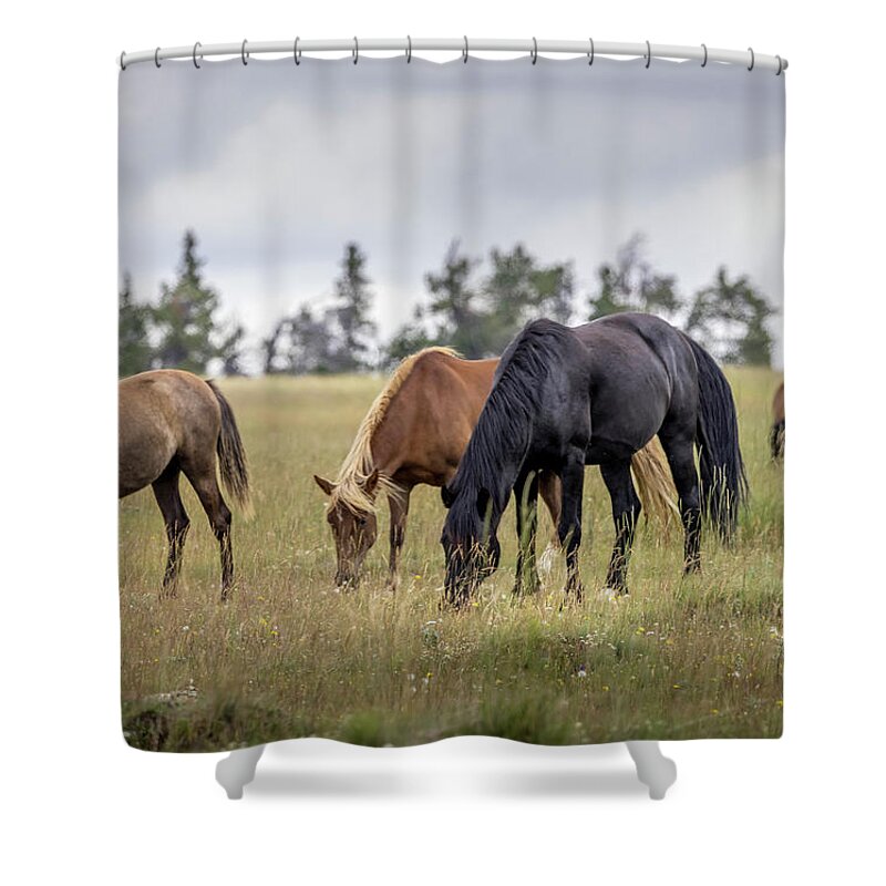 Horse Shower Curtain featuring the photograph Wild Horses #22 by Laura Terriere