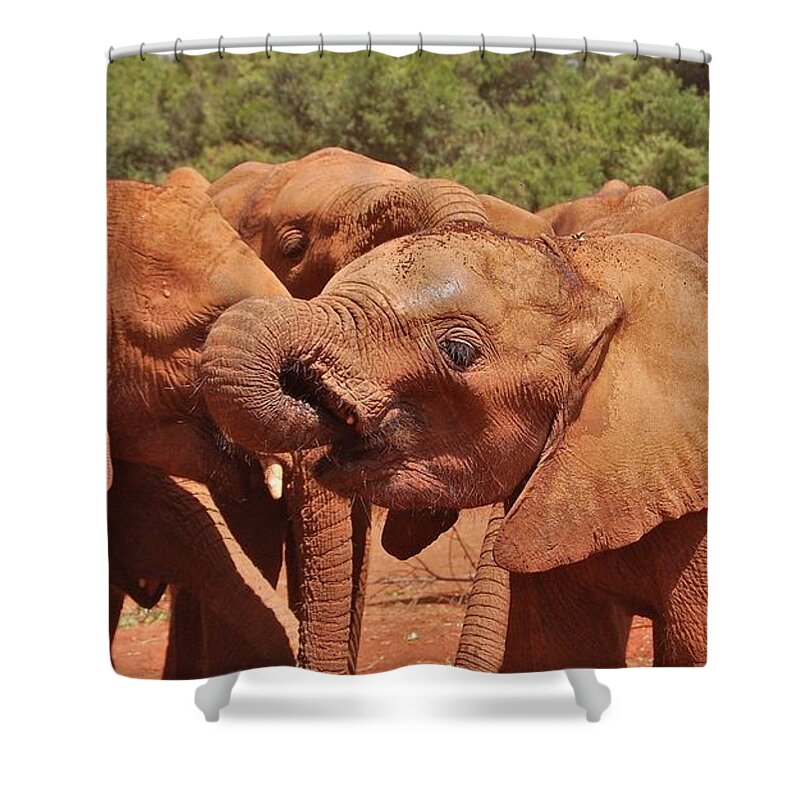  Shower Curtain featuring the photograph 22k by Jay Handler