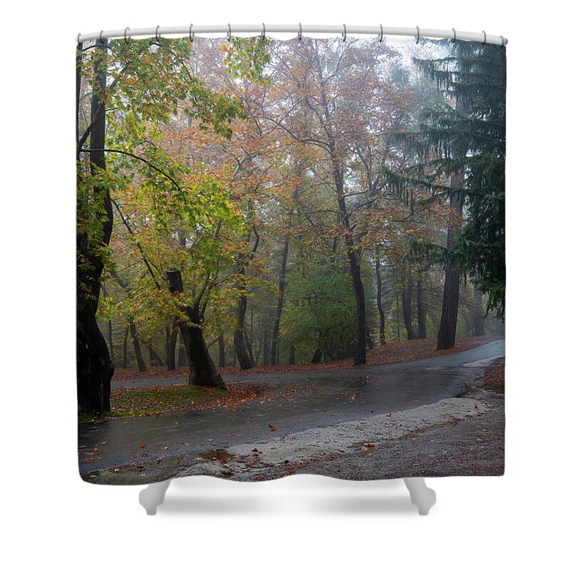Autumn Shower Curtain featuring the photograph Autumn landscape with trees and Autumn leaves on the ground after rain #3 by Michalakis Ppalis