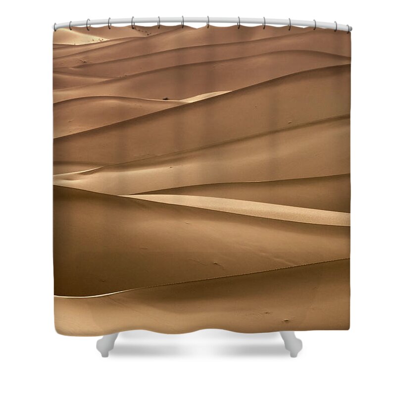 Desert Shower Curtain featuring the photograph Background with of sandy dunes in desert #3 by Mikhail Kokhanchikov