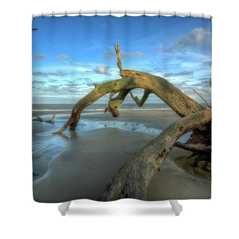 Beach Shower Curtain featuring the photograph Driftwood Beach #5 by Carolyn Hutchins