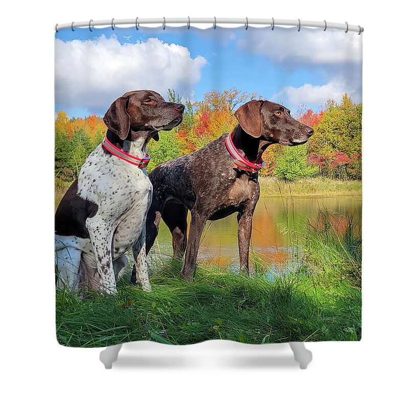 German Shorthaired Pointers Shower Curtain featuring the photograph German Shorthaired Pointers #3 by Brook Burling