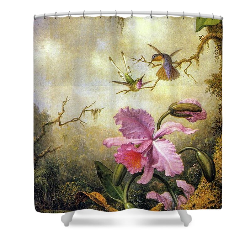 Martin Johnson Heade Shower Curtain featuring the painting Hummingbirds and Orchids #3 by Martin Johnson Heade