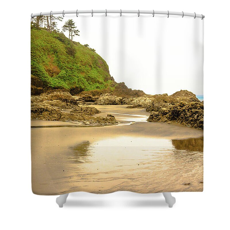 Beach Shower Curtain featuring the photograph Morning Light #1 by Robert Bales