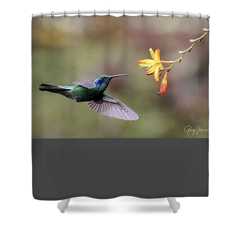 Gary Johnson Shower Curtain featuring the photograph Talamanca Hummingbird #4 by Gary Johnson