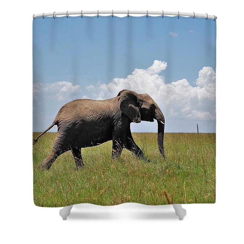  Shower Curtain featuring the photograph 30k by Jay Handler