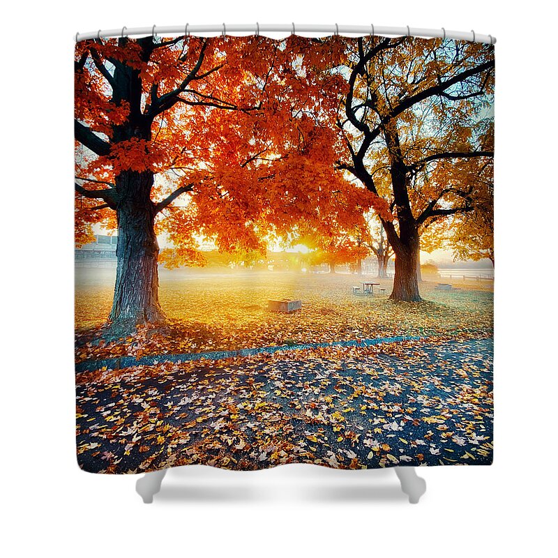  Shower Curtain featuring the photograph Fall #4 by John Gisis