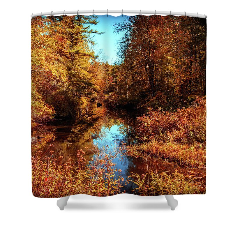 Fall Landscape Shower Curtain featuring the photograph Golden autumn a by Lilia S