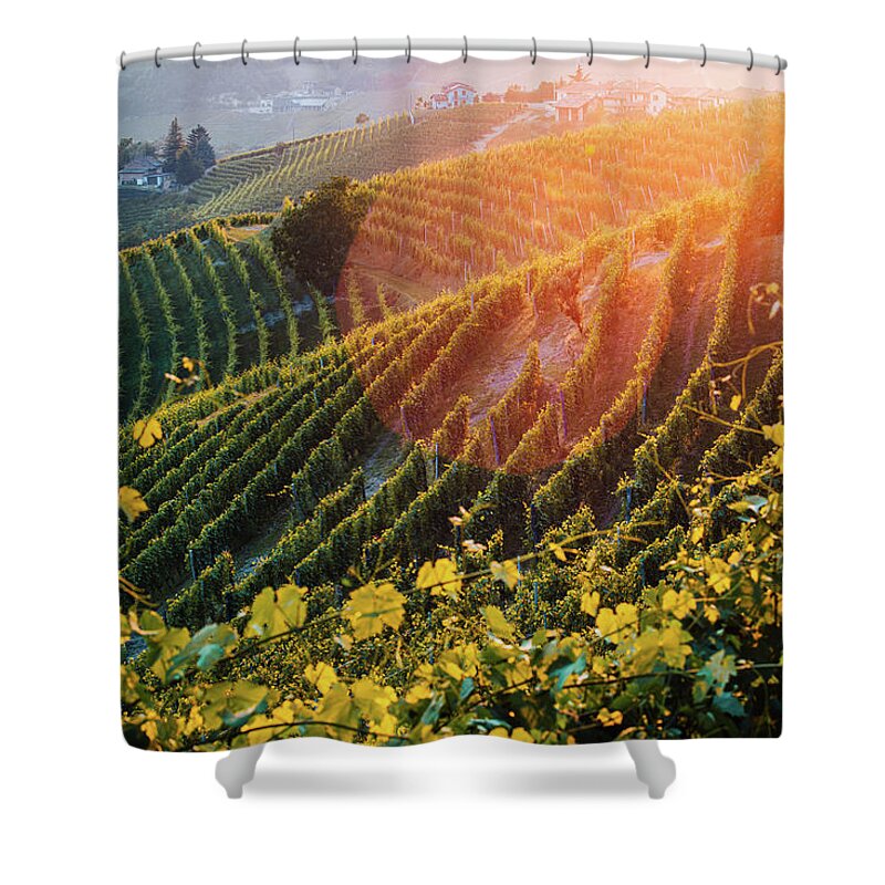 Barbera Shower Curtain featuring the photograph Langhe #4 by Francesco Riccardo Iacomino