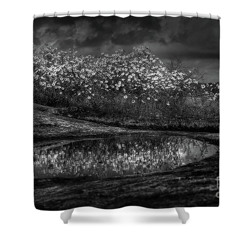 Black And White Shower Curtain featuring the photograph Untitled 4 by Doug Sturgess