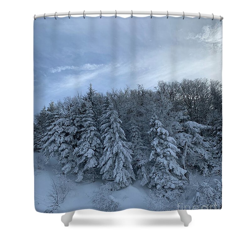  Shower Curtain featuring the photograph Winter Wonderland by Annamaria Frost