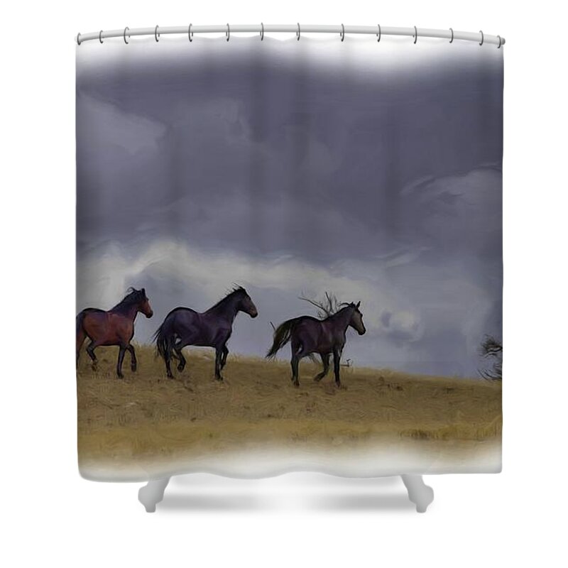 Horse Shower Curtain featuring the photograph Wild Horses #42 by Laura Terriere