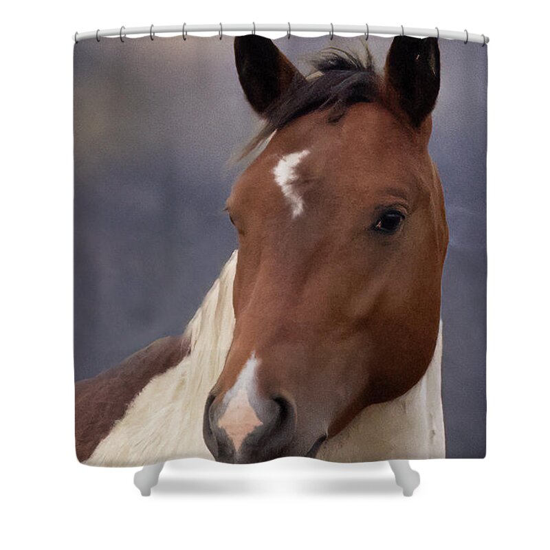 Horse Shower Curtain featuring the photograph Wild Horses #49 by Laura Terriere