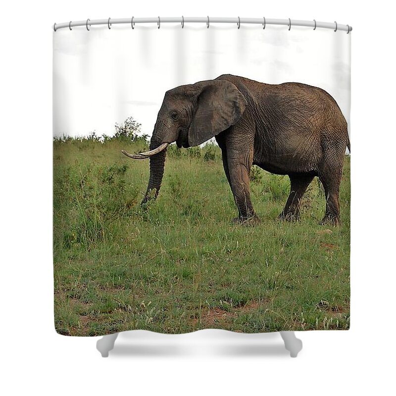  Shower Curtain featuring the photograph 4k by Jay Handler