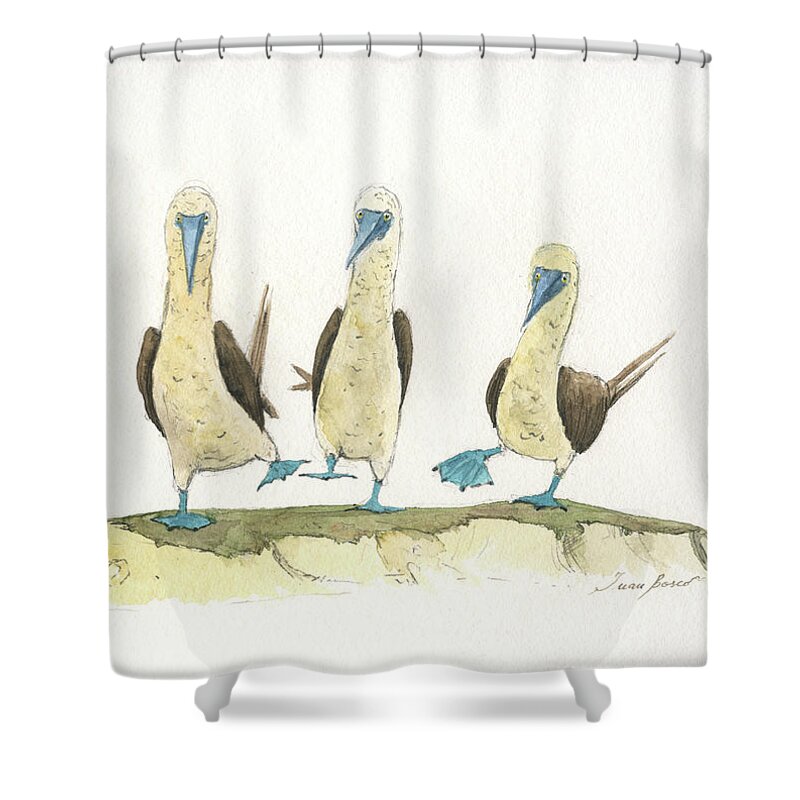 Blue-footed Boobies Shower Curtain featuring the painting Blue-footed boobies #6 by Juan Bosco