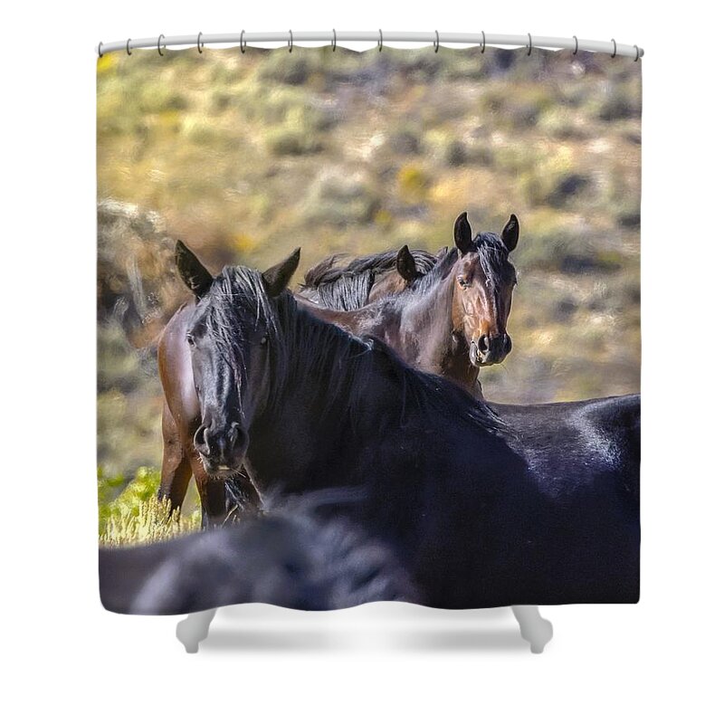 Horse Shower Curtain featuring the photograph Wild Horses #5 by Laura Terriere