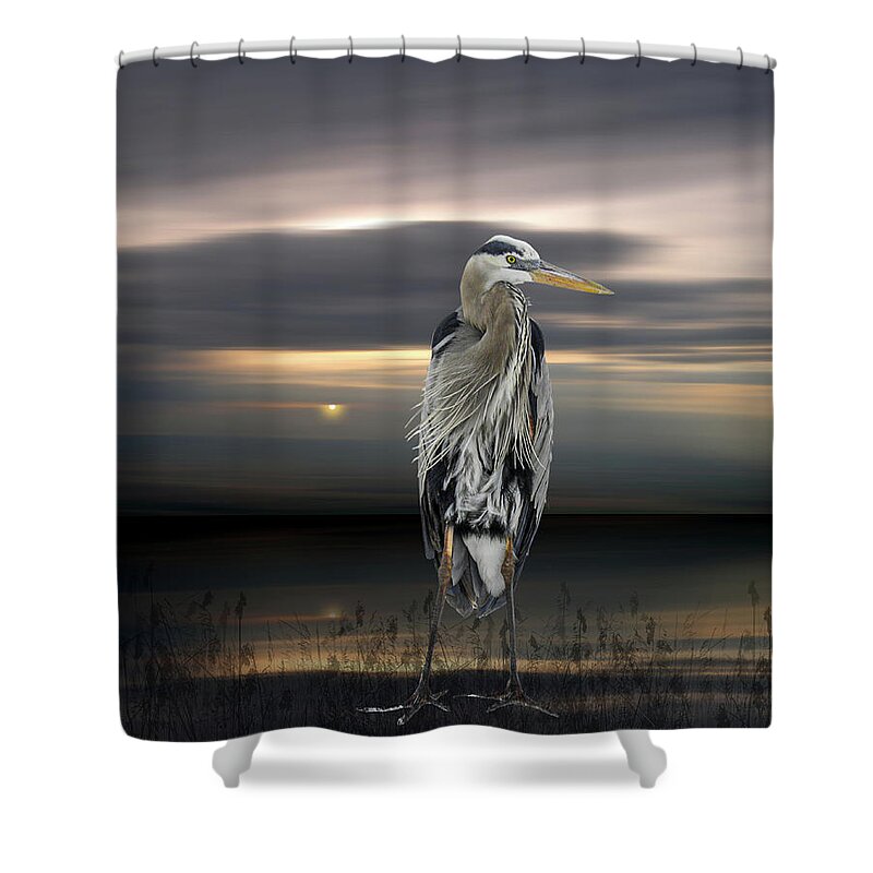 Sunset Shower Curtain featuring the photograph 5174 by Peter Holme III