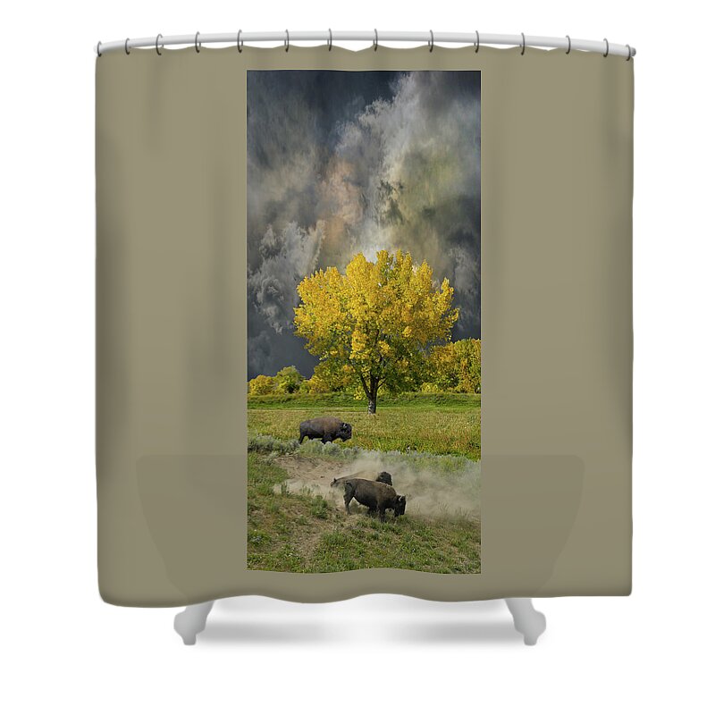 Buffalo Shower Curtain featuring the photograph 5176 by Peter Holme III