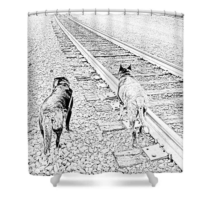 Irondale Train Viewing Platform Irondale Alabama Shower Curtain featuring the photograph Irondale Train Viewing Platform #7 by Kenny Glover